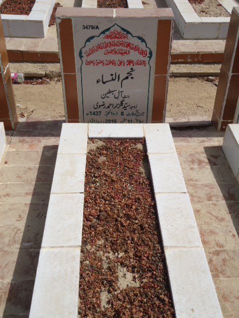 13479 – Najmul Nisa