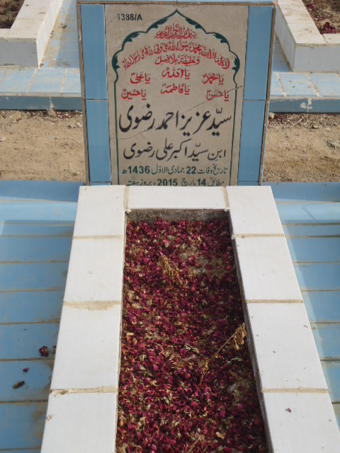 11388 – Syed Aziz Ahmed Rizvi