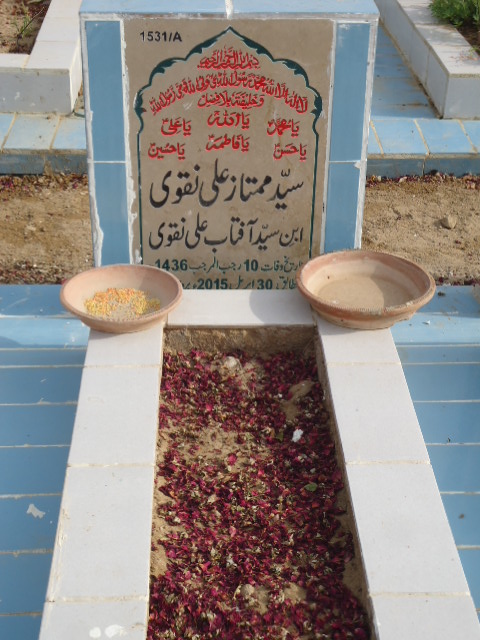 11531 – Syed Mumtaz Ali Naqvi