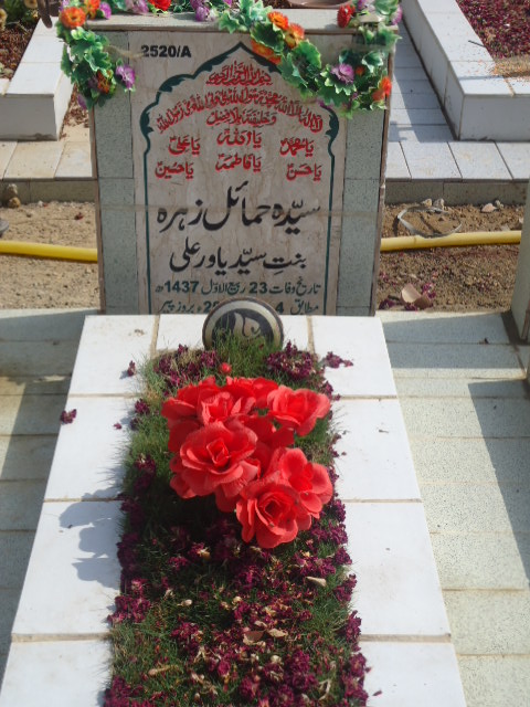 12520 – Syeda Hamail Zehra