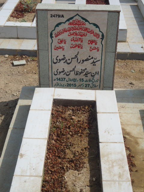 12479 – Syed Mansoor Ul Hasan Rizvi