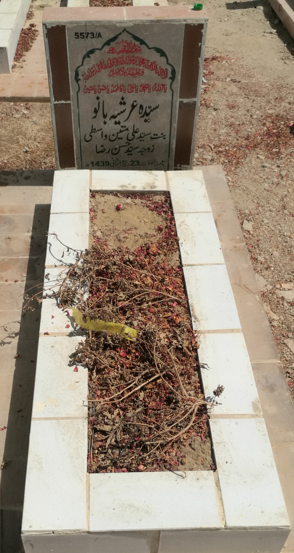 15573 – Syeda Arshia Bano