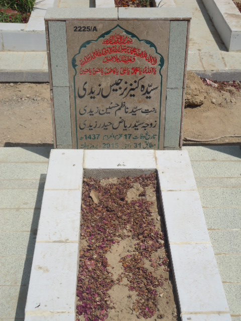 12225 – Syeda Kaneez Nargis Zaidi