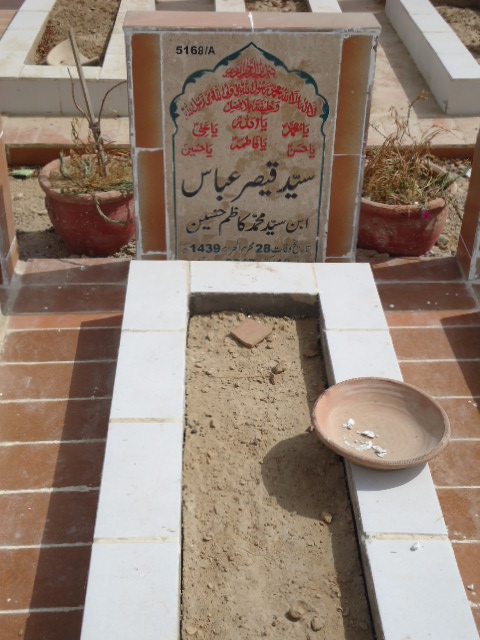 15168 – Syed Qaisar Abbas