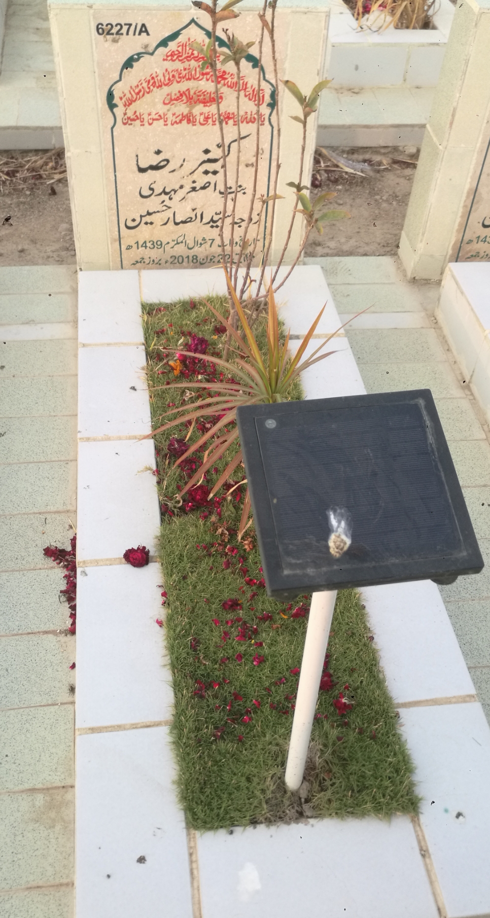 16227 – Kaneez Raza