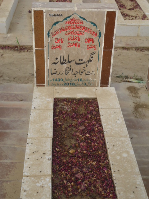 15684 – Nighat Sultana
