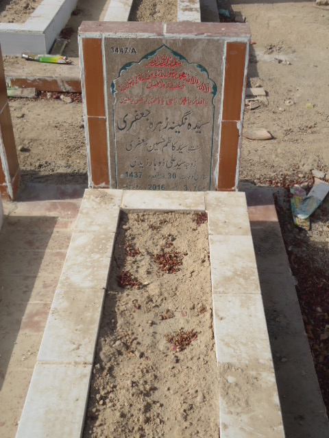 13447 – Syeda Nagina Zehra Jaffery