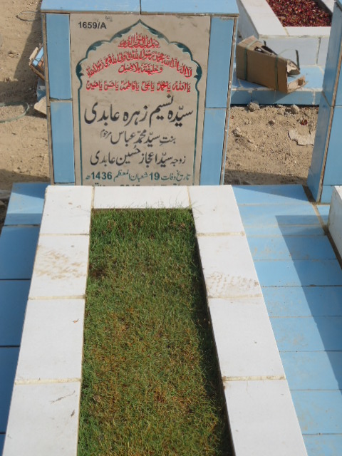 11659 – Syeda Naseem Zehra Abidi