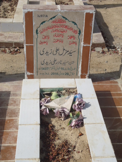 13287 – Syed Muzamil Ali Zaidi