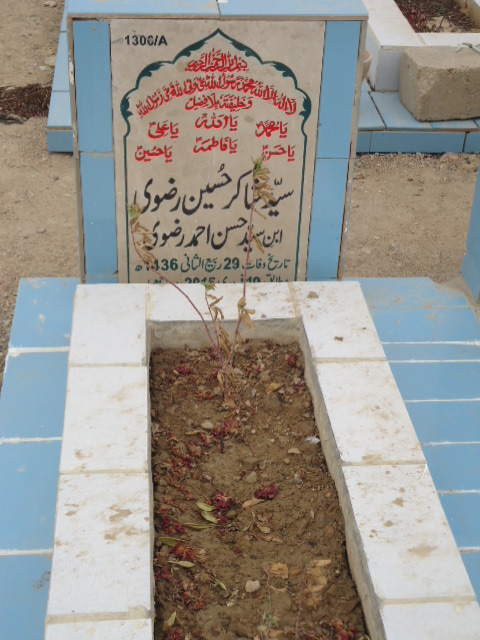 11306 – Syed Shakir Hussain Rizvi