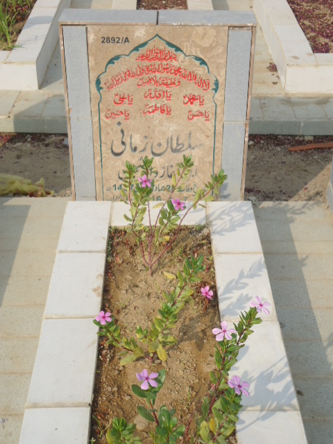 12892 – Sultan Zamani