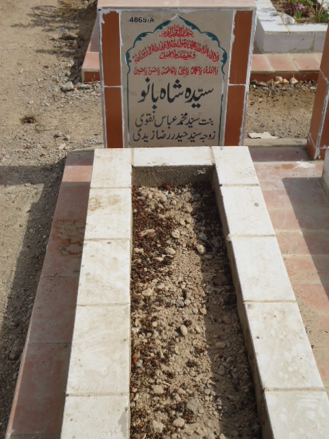 14665 – Syeda Shah Bano