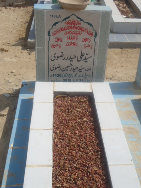 11189 – Syed Ali Haider Rizvi