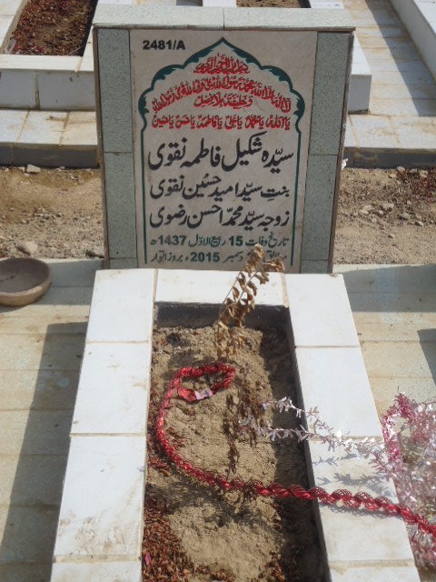 12481 – Syeda Shakeel Fatima Naqvi