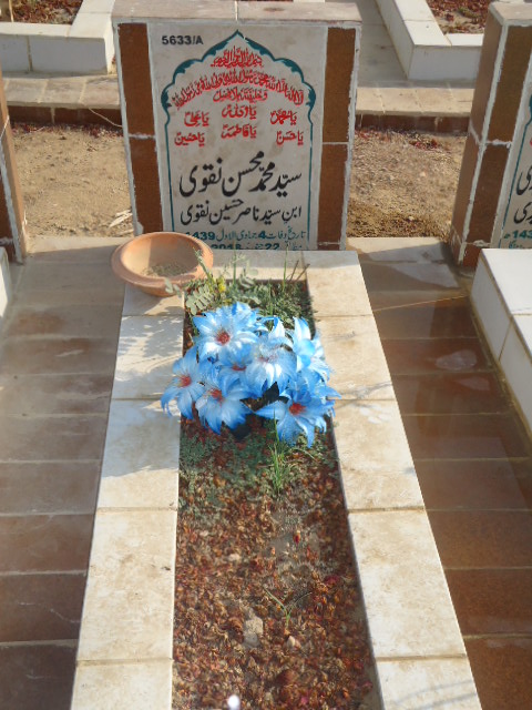 15633 – Syed Muhammad Mohsin Naqvi