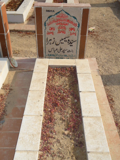 15821 – Syeda Seemi Zehra