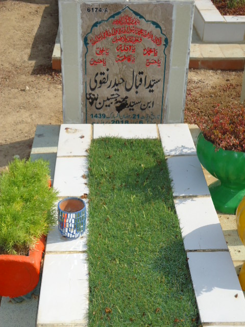 16174 – Syed Iqbal Haider Naqvi
