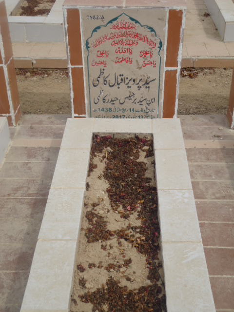 13982 – Syed Parveez Iqbal Kazmi