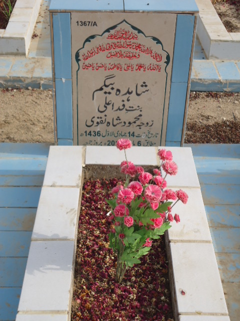 11367 – Shahida Begum