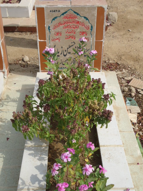14347 – Syed Mumtaz Hussain Zaidi