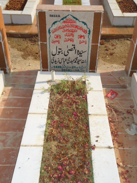 15833 – Syeda Aqsa Batool