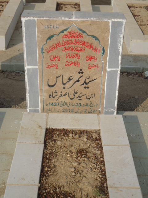 12871 – Syed Samar Abbas