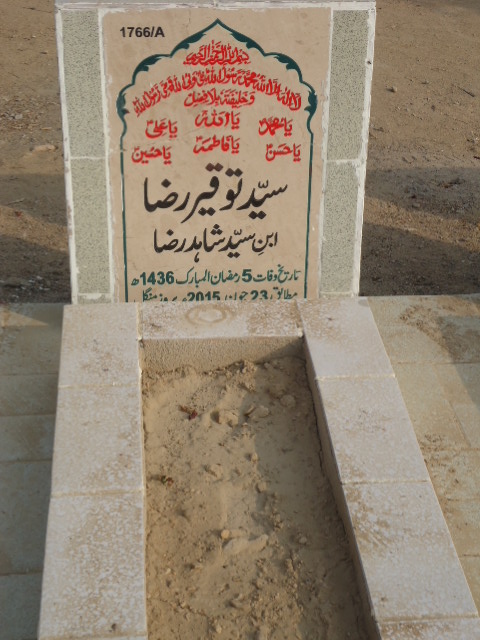 11766 – Syed Touqeer Raza