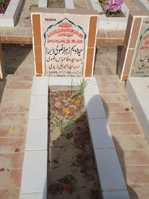 15222 – Syeda Waseem Zehra Rizvi