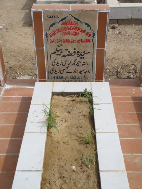 15027 – Syeda Fizza Begum