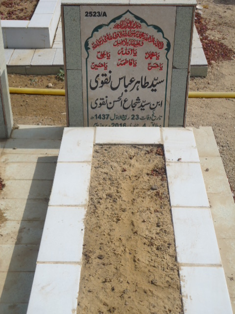 12523 – Syed Tahir Abbas Naqvi