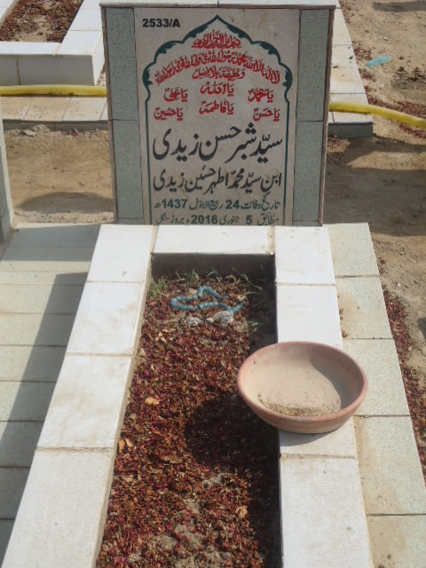 12533 – Syed Shabbar Hasan Zaidi