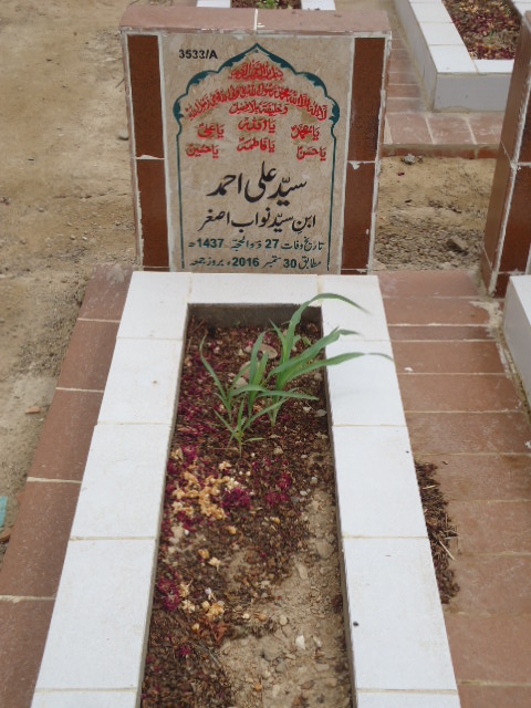 13533 – Syed Ali Ahmed