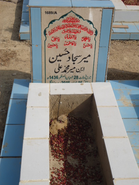11689 – Mir Sajjad Hussain