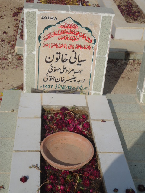 12614 – Seyani Khatoon