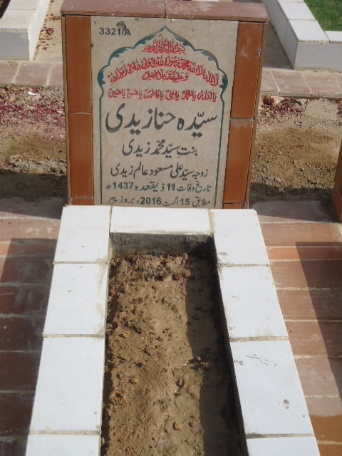 13321 – Syeda Hina Zaidi