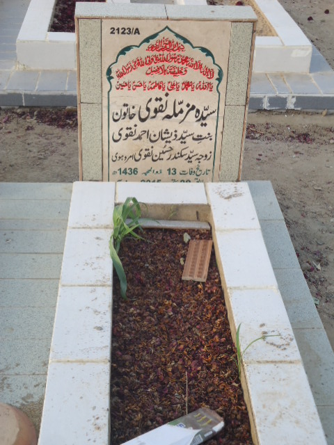 12123 – Syeda Muzmila Naqvi