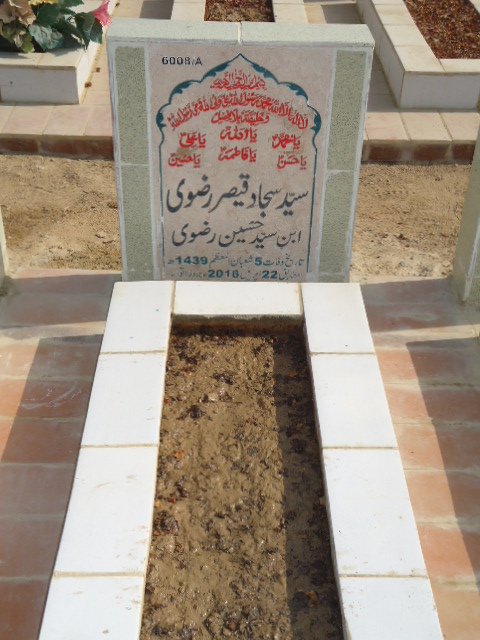 16008 – Syd Sajjad Qaisar Rizvi