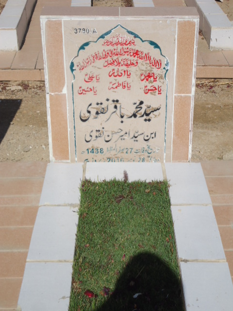 13780 – Syed Muhammad Baqar Naqvi