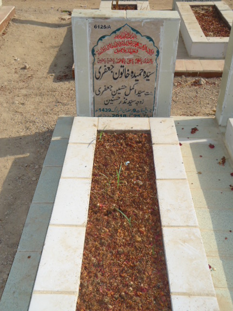 16125 – Syeda Hameeda Khatoon Jaffery