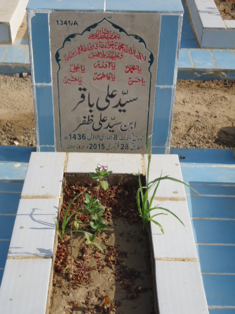 11341 – Syed Ali Baqar