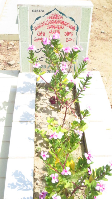 16484 – Syed Rashid Hussain