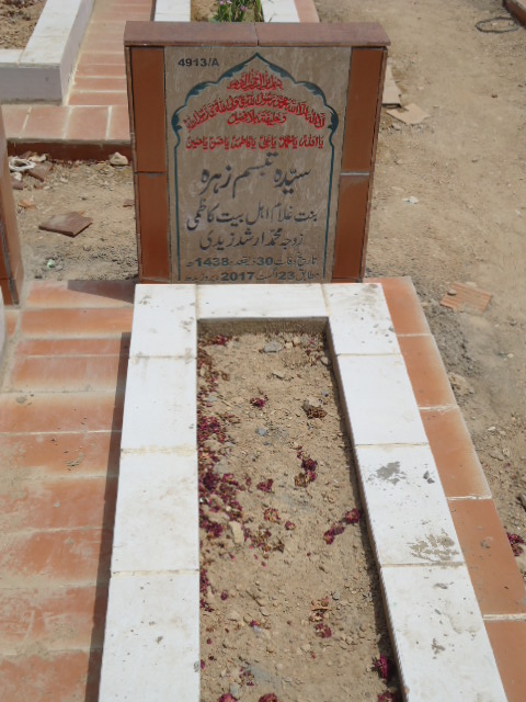 14913 – Syeda Tabassum Zehra