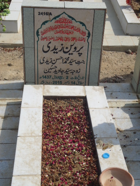 12416 – Parveen Zaidi