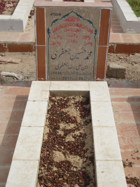 14733 – Muhammad Hussain Jaffery