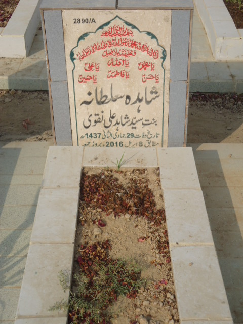 12890 – Shahida Sultana