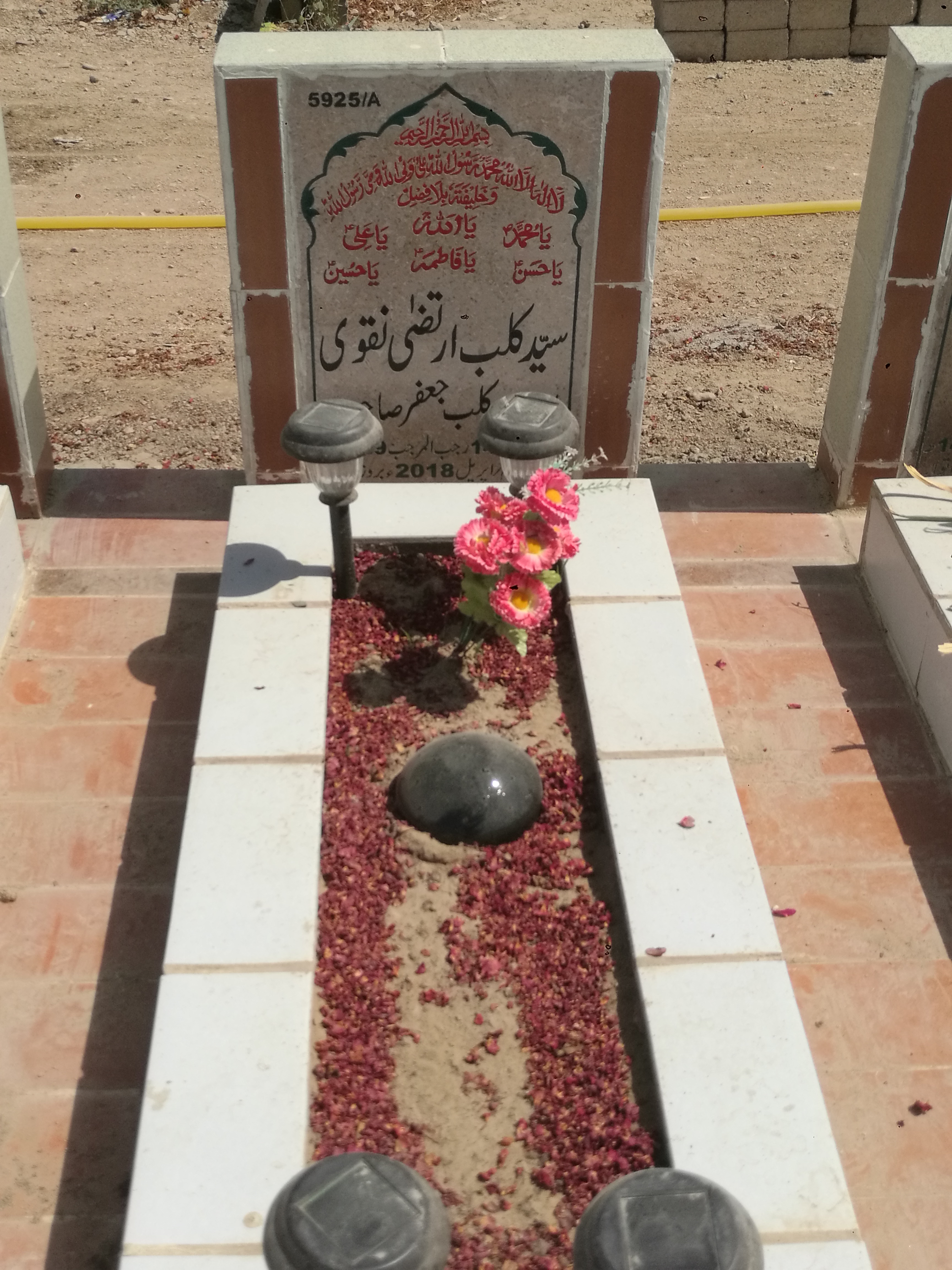15925 – Syed Kalbay Irteza Naqvi