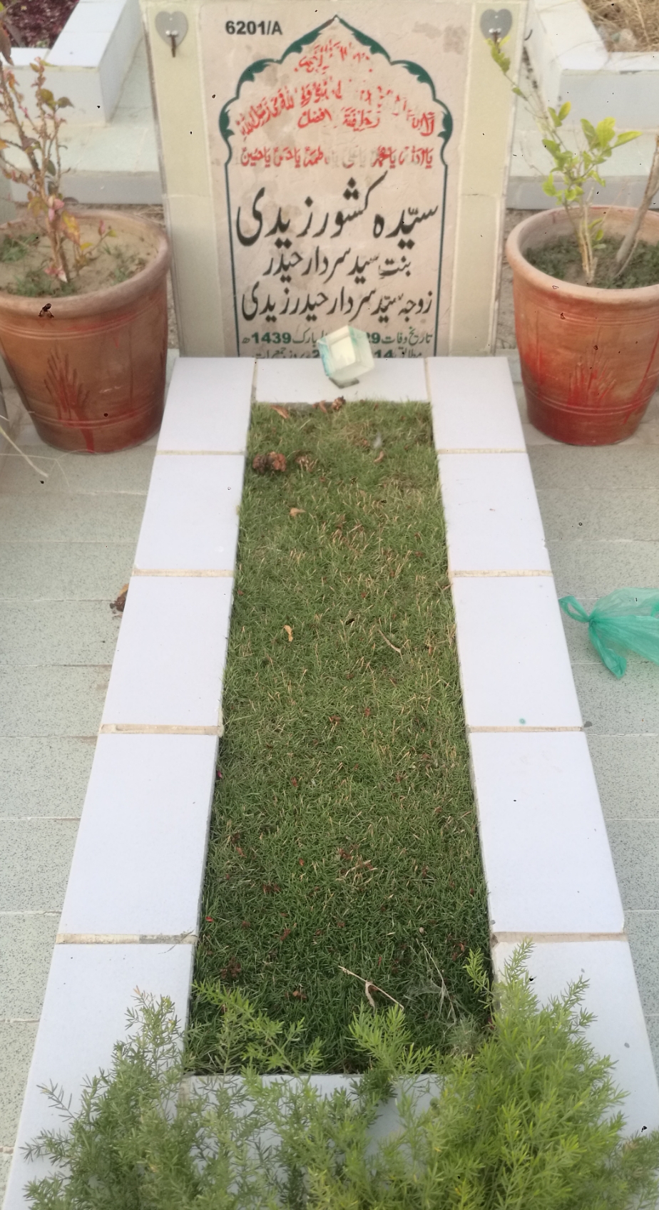 16201 – Syeda Kishwar Zaidi