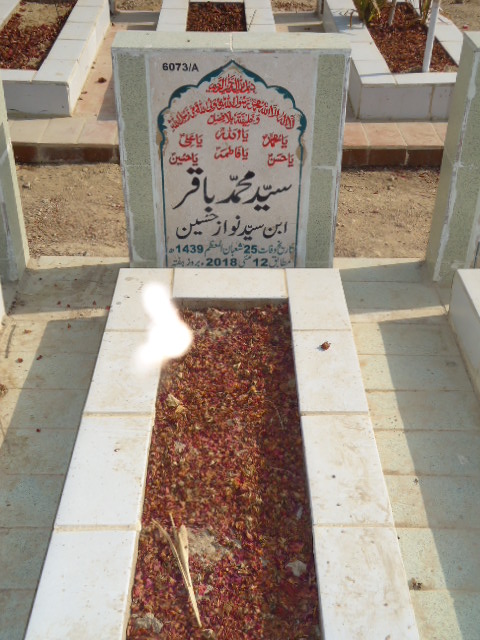 16073 – Syed Muhammad Baqar