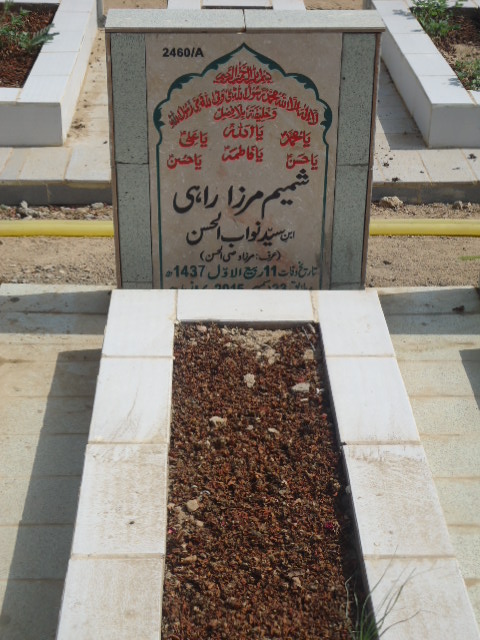 12460 – Shamim Mirza Rahi