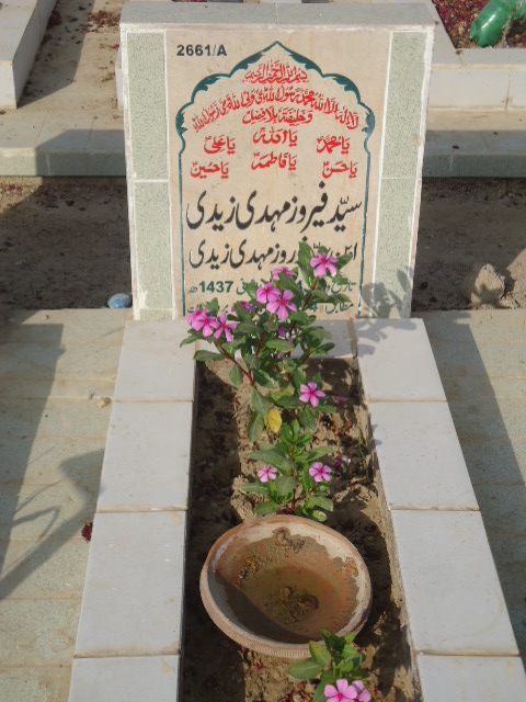 12661 – Syed Feroza Mehdi Zaidi